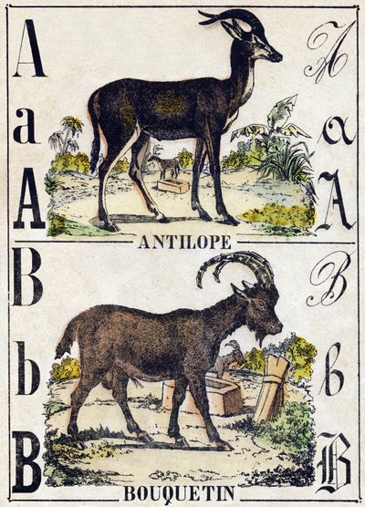 Bokstaven A antilop; B stenbock. Gravyr i "" Alphabet des animaux sauvages"". 9:e serien. Bildspråk av Epinal, Pellerin, tryckare-förlag, cirka 1870. Gravyrer på trä, stencilerade. 16 sidor. Mått: 20 x 15 cm. Privat samling av French School