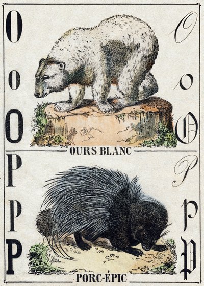 Bokstaven O Björn; P Fläsk-epos (Gris-epos). Gravyr i "" Alphabet des animaux sauvages"". 9:e serien. Bildspråk av Epinal, Pellerin, tryckare-förlag, ca 1870. Gravyrer på trä, stencilerade. 16 sidor. Mått: 20 x 15 cm. Privat samling av French School