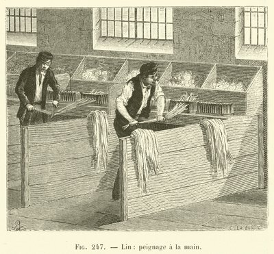 Linne, handkamning (gravyr) av French School
