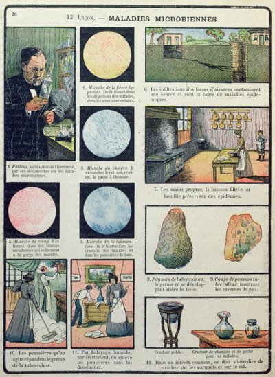 Louis Pasteur (1822-1895) och bakteriella sjukdomar, från Physical and Natural Sciences, Paris, 1908 av French School