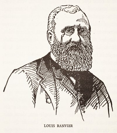 Louis Ranvier av French School
