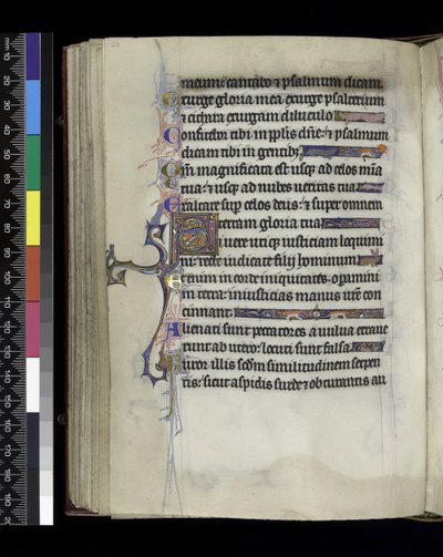 MS 300 f.61v, folio från Psalter and Hours of Isabella of France, Paris, c.1265-70 av French School