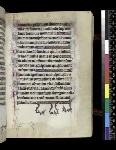 MS 300 f.68r, folio från Psalter and Hours of Isabella of France, Paris, c.1265-70 av French School
