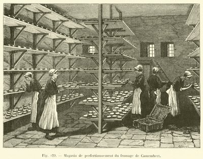 Camembert ostförbättringsbutik (gravyr) av French School