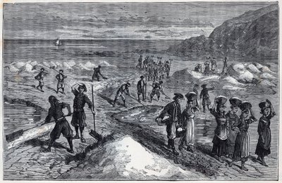Marais salants de Bretagne på 1800-talet - Gravyr i "Vetenskapen förmedlade till stipendiets tacksamma - fysik och kemi" av Alexis Clerc - Sent 1800-tal - Privat samling av French School
