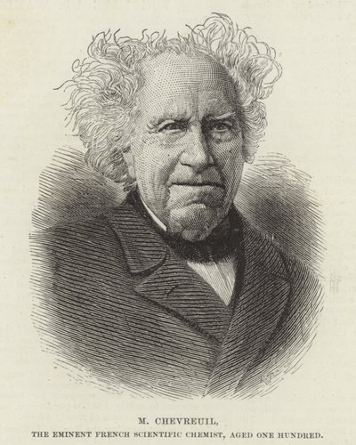 Michel Eugene Chevreul av French School