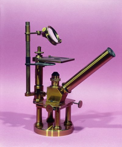 Mikroskop tillhörande Louis Pasteur (1811-95) (metall) av French School
