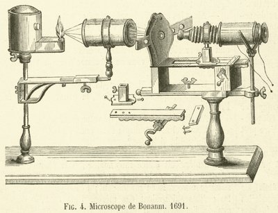 Microscope de Bonanni av French School