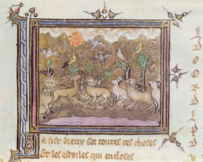 Ms 1044 fol.18 The Creation of the Animals, från Ovide Moralise skriven av Chretien Legouais av French School