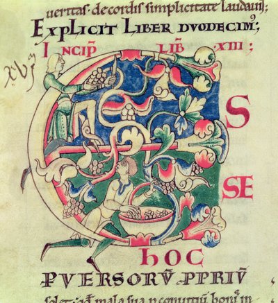 Ms 173 f.32 Historikerad initial E som visar druvskörden, från Moralia i Job av påven Gregorius den store av French School