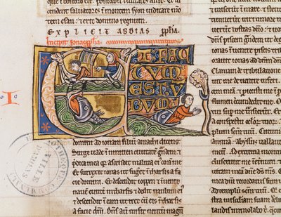 Ms 21 Fol.163v Historikerad initial E som visar Jona som kastas i havet, från en ospecificerad bibel av French School