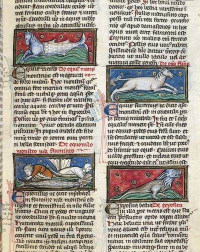 Ms 320 Fol.115r Sea Monsters, från 