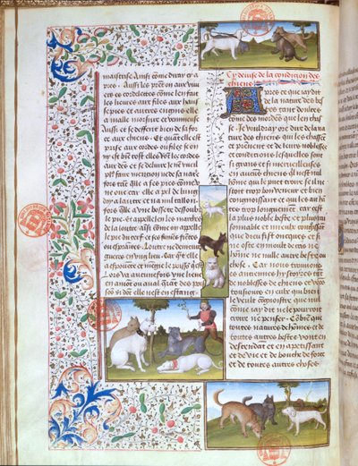 Ms 3717 Jakthundar, från Livre de la Chasse av Gaston Phebus de Foix (1331-91) (vellum) av French School