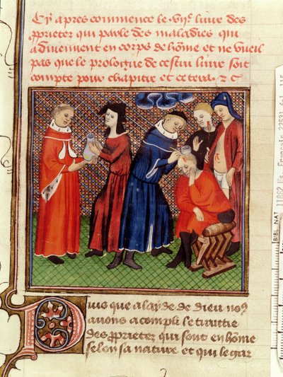 Ms Fr 22531 Fol.115 Urinundersökningen och läkningen av sår, från Le Livre des Proprietes des Choses av Barthelemy lAnglais, c.1410-15 av French School