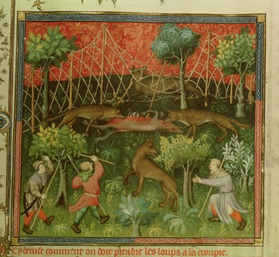 Fr 616 fol.111 Vargjakt med hjälp av nät, från Livre de la Chasse av Gaston Phebus de Foix (1331-91) av French School