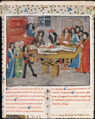 Ms H 184 fol.14v Dissektionslektion vid medicinska fakulteten i Montpellier, från 