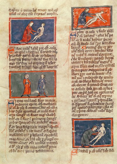 Ms H 89 fol.21v Anatomiska figurer, från en upplaga av 