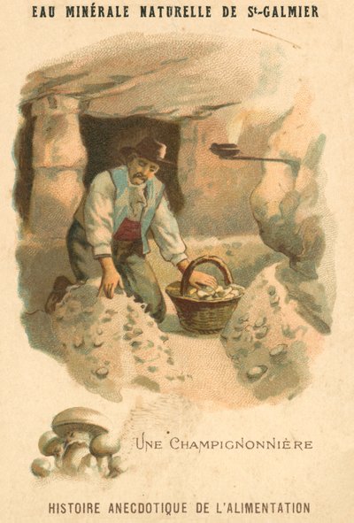 Svampodlare (chromolitho) av French School