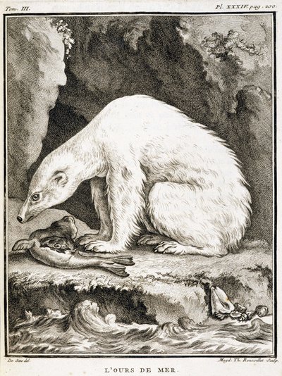 Naturhistorisk tavla: Sjöbjörnen äter en säl - i "Naturhistoria, allmän och speciell" av Buffon av French School