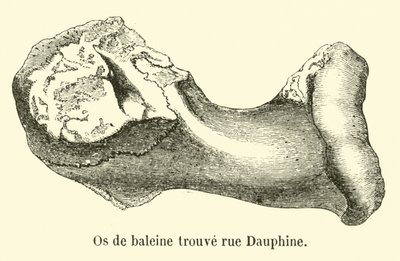 Valben hittat rue Dauphine av French School