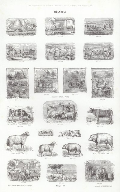 Sida från typografiska vinjetter (gravyr) av French School