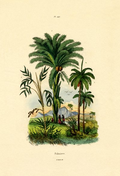 Palmer, 1833-39 av French School