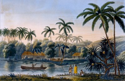 En del av byn Matavae, kokospalmer och annan frukt, Tahiti, från Voyage around the World på Corvette Coquille av löjtnant Louis Isodore Duperrey, publicerad 1826 av French School
