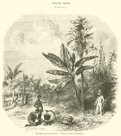 Landskap i Guadeloupe (gravyr) av French School