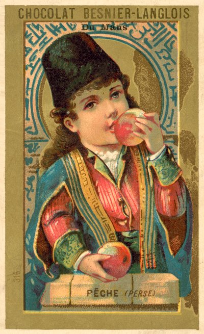 Persikor från Persien (chromolitho) av French School