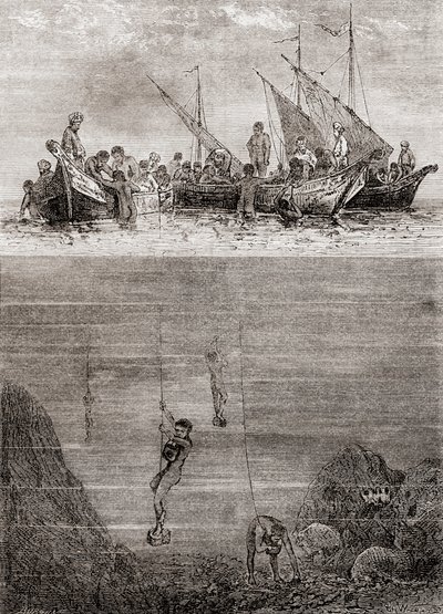 Päreldykare utanför ön Ceylons kust på 1700-talet, från 