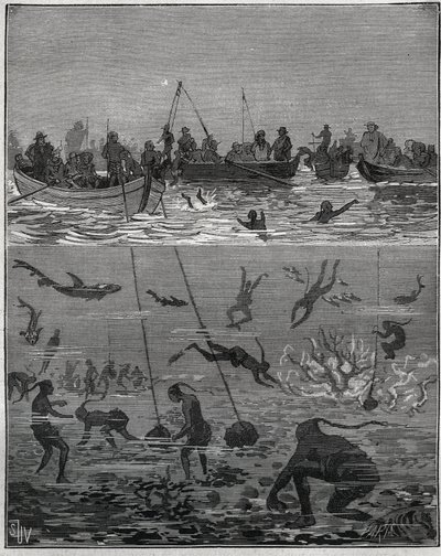 Pärlpersika i Ceylon (dagens Sri Lanka) på 1800-talet. Gravyr från 1885 i "" Les arts et metiers illustres"" av Adolphe BITARD. av French School