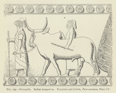 Persepolis, indisk puckeloxe av French School