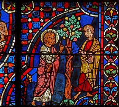 Philip, Nathaniel, fikonträd (w0) av French School