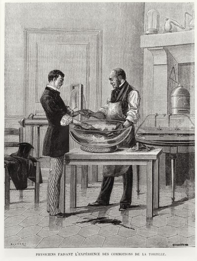 Fysiker som experimenterar på en torped, andra halvan av 1800-talet (gravyr) (s/v foto) av French School