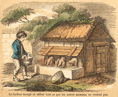 Gris (färgad gravyr) av French School