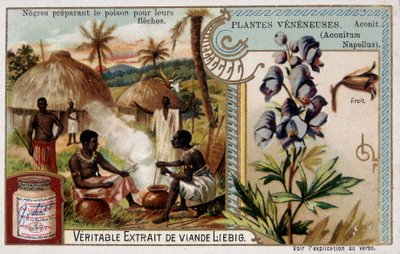 Giftväxter: aconit och afrikanska förbereder gift för sina pilar - chromo. Liébig, sent 1800-tal av French School