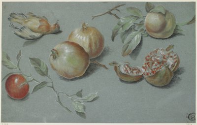 Granatäpplen och död fågel, tidigt 1800-tal (krita på papper) av French School