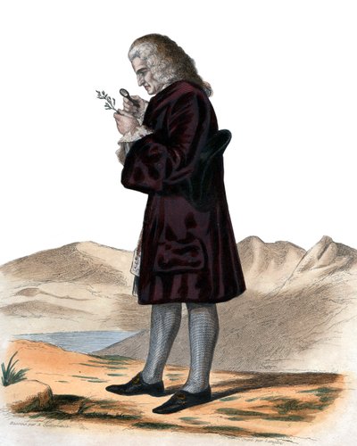 Porträtt av Bernard de Jussieu (1699-1777), fransk naturforskare. av French School