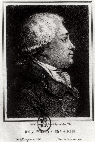 Porträtt av Felix Vicq dAzyr (1748-94) av French School