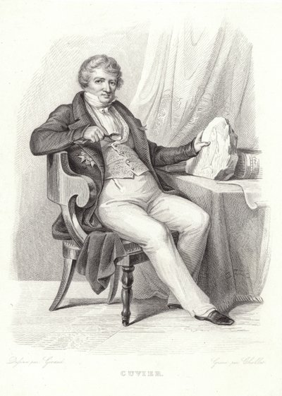 Porträtt av George Cuvier av French School