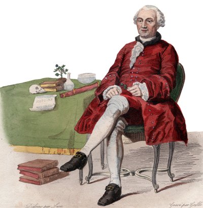Porträtt av Georges Louis Leclerc, Comte de Buffon (1707-1788), fransk naturforskare. av French School