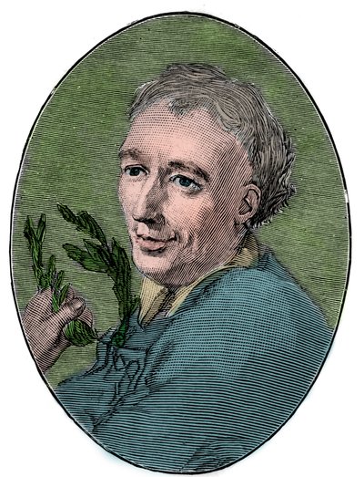 Porträtt av Laurence Eusden (1688-1730) engelsk poet. av French School