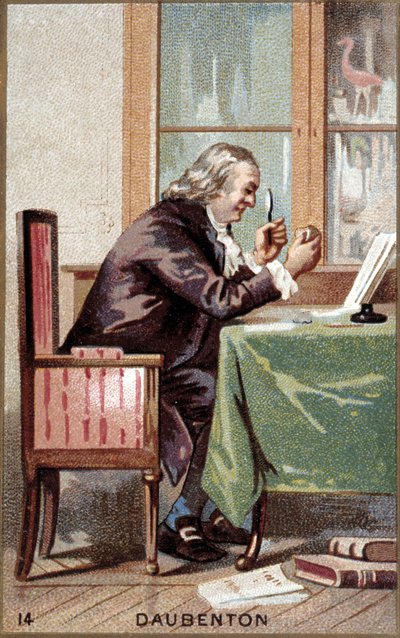 Porträtt av Louis Jean Marie Daubenton (1716 - 1800), fransk naturforskare. av French School