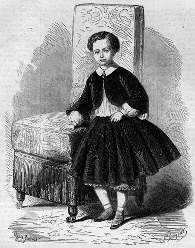 Porträtt av Napoleon Eugene Louis Jean Joseph Bonaparte (1856-1879), känd som Prince Imperial, son till Napoleon III. Gravyr i "" Le Monde Illustré"" nr 137 den 26 november av French School