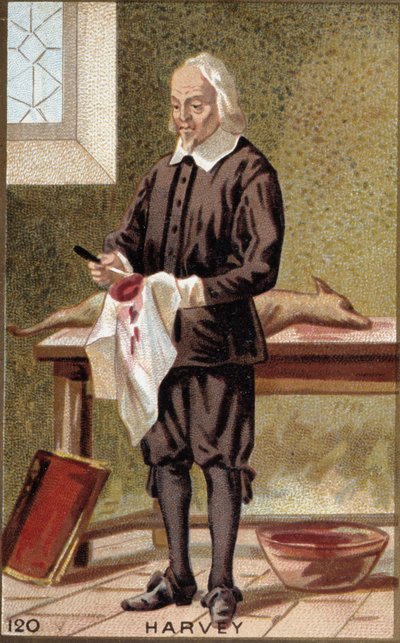 Porträtt av William Harvey (1578-1657), engelsk läkare. av French School
