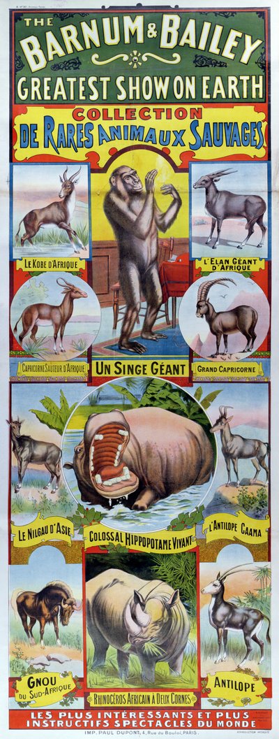 Affisch som annonserar Collection de Rares Animaux Sauvages för cirkusen Barnum och Bailey av French School