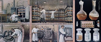 Förbereder serum för att bekämpa tuberkulos, från Les Animaux, ca 1900 av French School