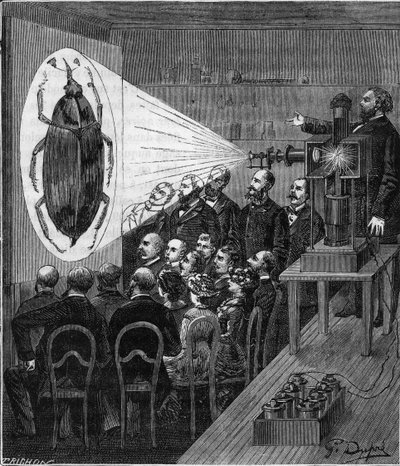 Projektionserfarenhet med hjälp av det elektriska fotomikroskopet (Jules Duboscq projektionslyktor) - Gravering i "" Vetenskaper tillgängliga för alla - Populär fysik och kemi"" av Alexis Clerc - Slutet av 1800-talet - Privat samling av French School