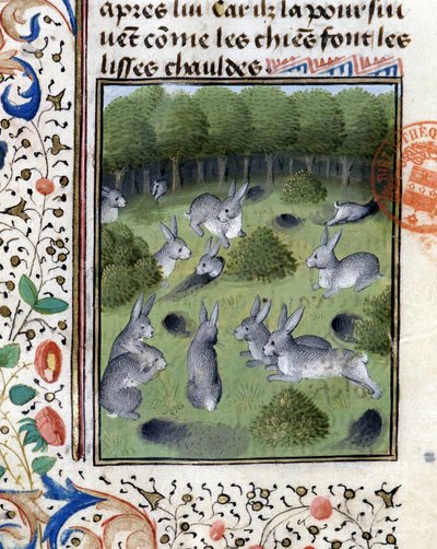 Kaniner - i "" Hunting Book of Gaston Phoebus, Count of Foix, Lord of Béarn"" av French School
