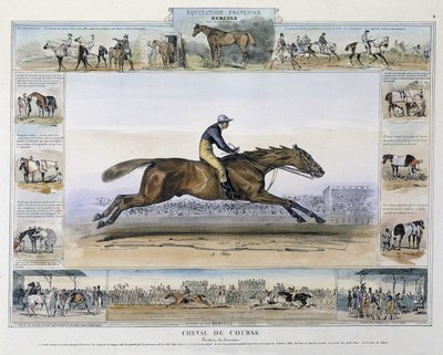 Tävlingshäst i "" Pittoresk historia av antik och modern ridning"" av Charles Aubry av French School